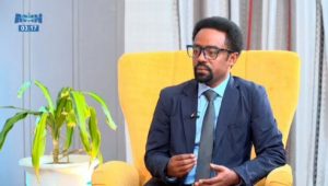 Read more about the article ምርጫው በአፍሪካ ቀንድ ጠንካራ ሐገረ መንግሥት እንዲፀና የሚያስችል ነው – የሕግ ምሁር ኪያ ፀጋዬ
