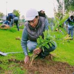 Read more about the article የአዲስ አበባ የክረምት በጎ ፈቃድ ተግባር የከተማዋን ገጽታ እና የነዋሪውን ትስስር የለወጠ ነው