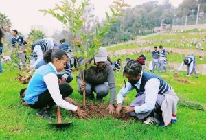 Read more about the article አዲስ አበባ ለዘንድሮው የአረንጓዴ አሻራ መርሀ ግብር በቂ ዝግጅት አድርጋለች -ከንቲባ አዳነች አቤቤ