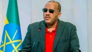 Read more about the article የአሜሪካ የቪዛ ዕገዳ በሰሜን ኢትዮጵያ ለተፈጠረው ውጥረት የጽንፈኛው የህወሃት ቡድንን ተጠያቂ ያደረገ ነው- ጌታቸው ረዳ