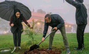 Read more about the article የአረንጓዴ ዐሻራ መርሐ ግብር የአካባቢ ጥበቃን ብቻ ሳይሆን የምግብ ዋስትናንም ለማረጋገጥ ያለመ ነው