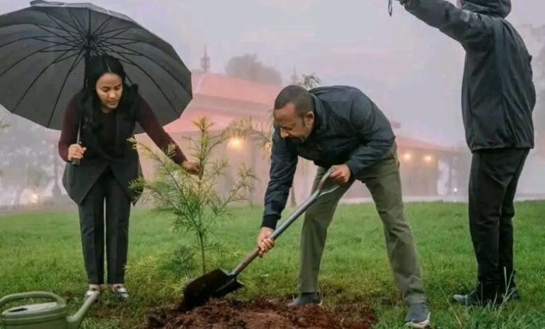 የአረንጓዴ ዐሻራ መርሐ ግብር የአካባቢ ጥበቃን ብቻ ሳይሆን የምግብ ዋስትናንም ለማረጋገጥ ያለመ ነው
