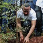 Read more about the article ከችግኝ ተከላ እስከ አረንጓዴ ዲፕሎማሲ፡ የኢትዮጵያ አረንጓዴ አሻራ ለዓለም ያበረከተው የአካባቢ ጥበቃ አርአያነት