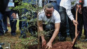 Read more about the article ከችግኝ ተከላ እስከ አረንጓዴ ዲፕሎማሲ፡ የኢትዮጵያ አረንጓዴ አሻራ ለዓለም ያበረከተው የአካባቢ ጥበቃ አርአያነት
