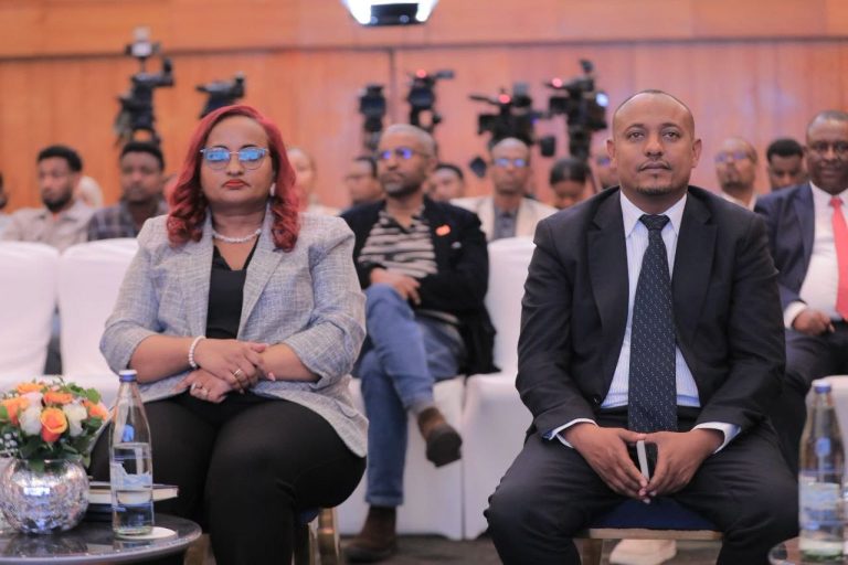 የበይነ መረብ መገናኛ ብዙሃን ሀገራዊ ጥቅምንና ሙያዊ ሥነ-ምግባርን አስከብረው እንዲንቀሳቀሱ ተጠየቀ