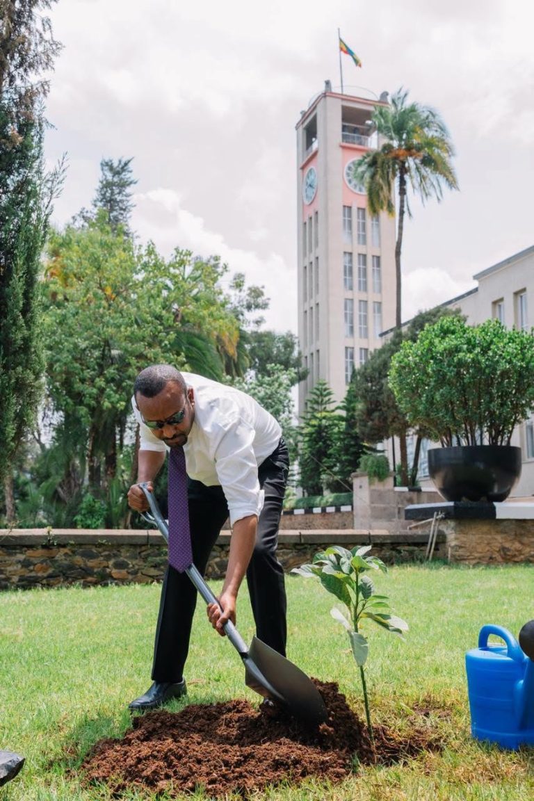ከምክር ቤት ውሎ እስከ አረንጓዴ ዐሻራ መርሃ ግብር…