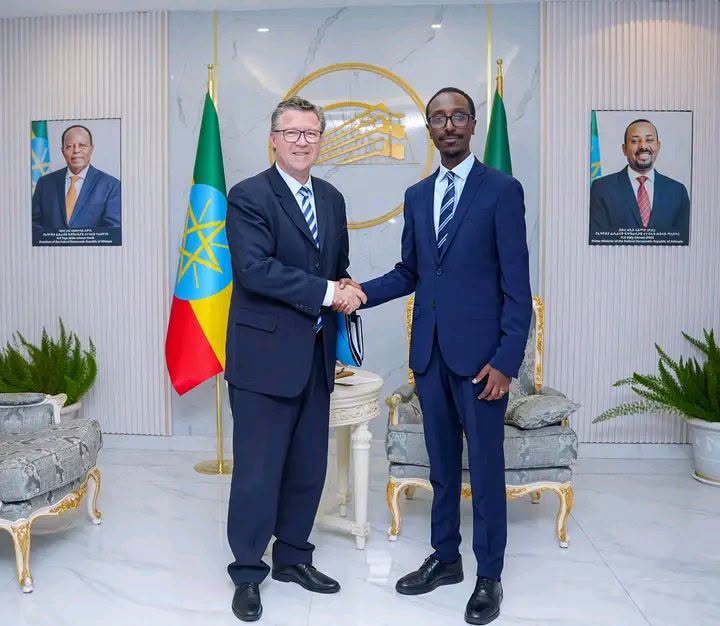 ኢትዮጵያና ጀርመን ዘላቂ የኢኮኖሚ እና ቀጣናዊ ትብብራቸውን ይበልጥ ለማጠናከር ቁርጠኝነታቸውን ገለጹ