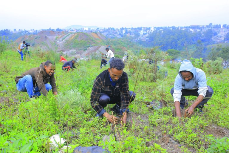 የተተከሉ ችግኞችን የጽድቀት መጠን ለመጨመር መንከባከብና መጠበቅ እንደሚገባ ተገለጸ