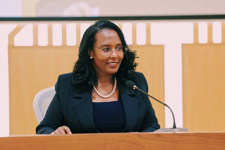 በፀጥታ፣ ሰላም እና የህግ የበላይነትን በማስከበር ስራዎች ምን ዉጤቶች ተገኙ?