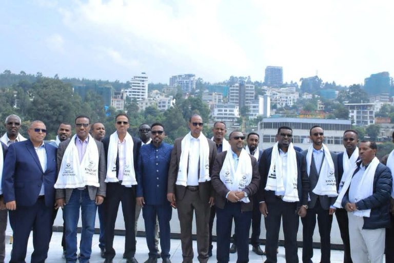 አዲስ አበባ ከተማ የማያቋርጥ ዕድገት ማሳያ ናት- አቶ አደም ፋራህ