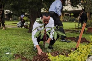 Read more about the article የኢትዮጵያ አረንጓዴ አሻራ መርሐ ግብር እና ዓለም አቀፍ አስተዋጽኦው