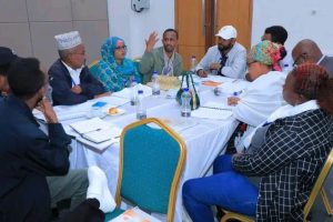 Read more about the article በውይይትና በምክክር ችግሮችንና ልዩነቶችን መፍታት የስልጣኔ ምልክት ነዉ