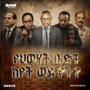 Read more about the article የህወሃት ቡድን ጉዞ ከየት ወደ የት?