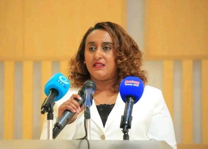በአዲስ አበባ የተከናወኑ የህግ-ማስከበር ሥራዎች ውጤት አስገኝተዋል