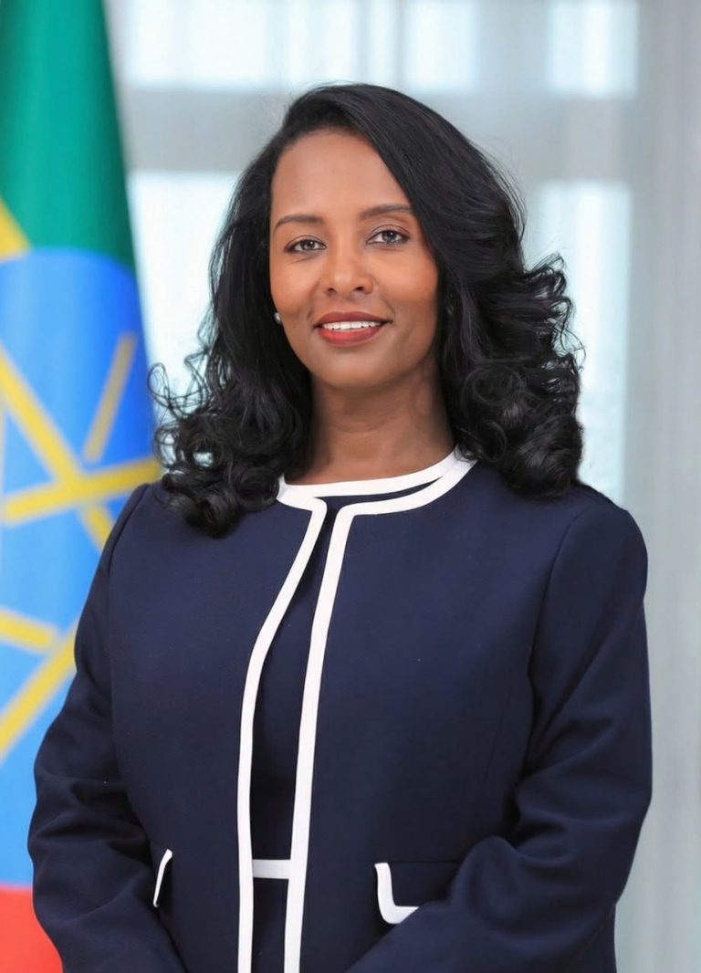 ከንቲባ አዳነች አቤቤ ለጉባዔው ተሳታፊዎች የሎጂስቲክስ እገዛ አድርገውልናል - መሥፍን አርዓያ (ፕ/ር)