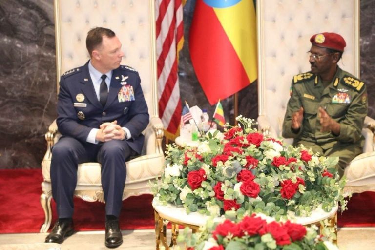 ፊልድ ማርሻል ብርሃኑ ጁላ በጄኔራል ዳግቪን አንደርሰን ከተመራ የአፍሪኮም ልዑክ ጋር ተወያዩ
