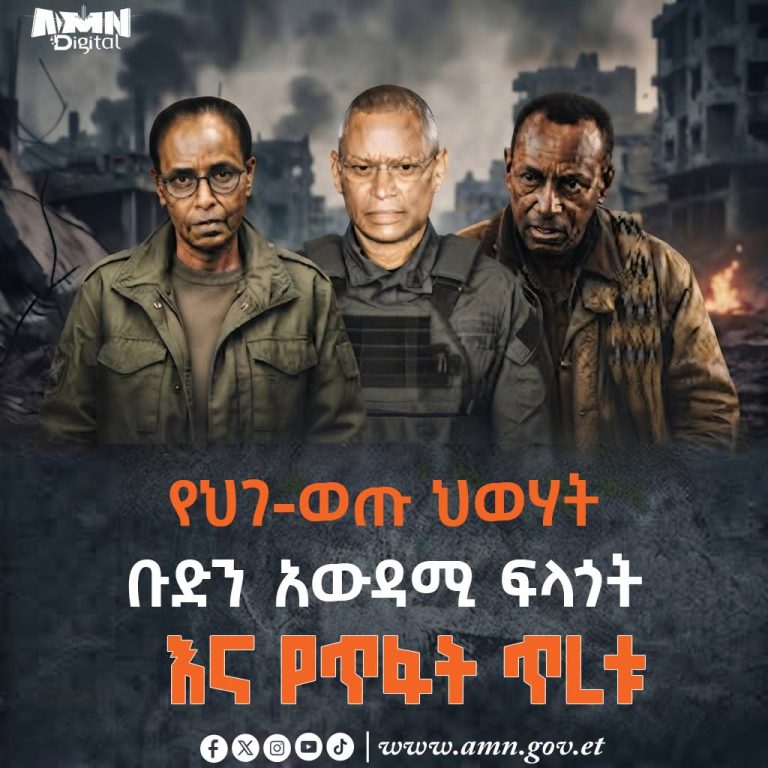 የህገ-ወጡ ህወሃት ቡድን አውዳሚ ፍላጎት እና የጥፋት ጥረቱ