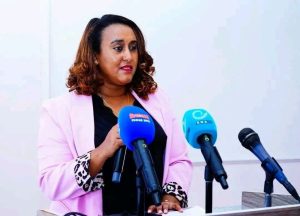 Read more about the article የአዲስ አበባና የሸገር ከተማ አስተዳደሮች በጸጥታና በሕግ የበላይነት ዙሪያ በቅንጅት ባከናወኗቸው ተግባራት አመርቂ ውጤት ተገኝቷል