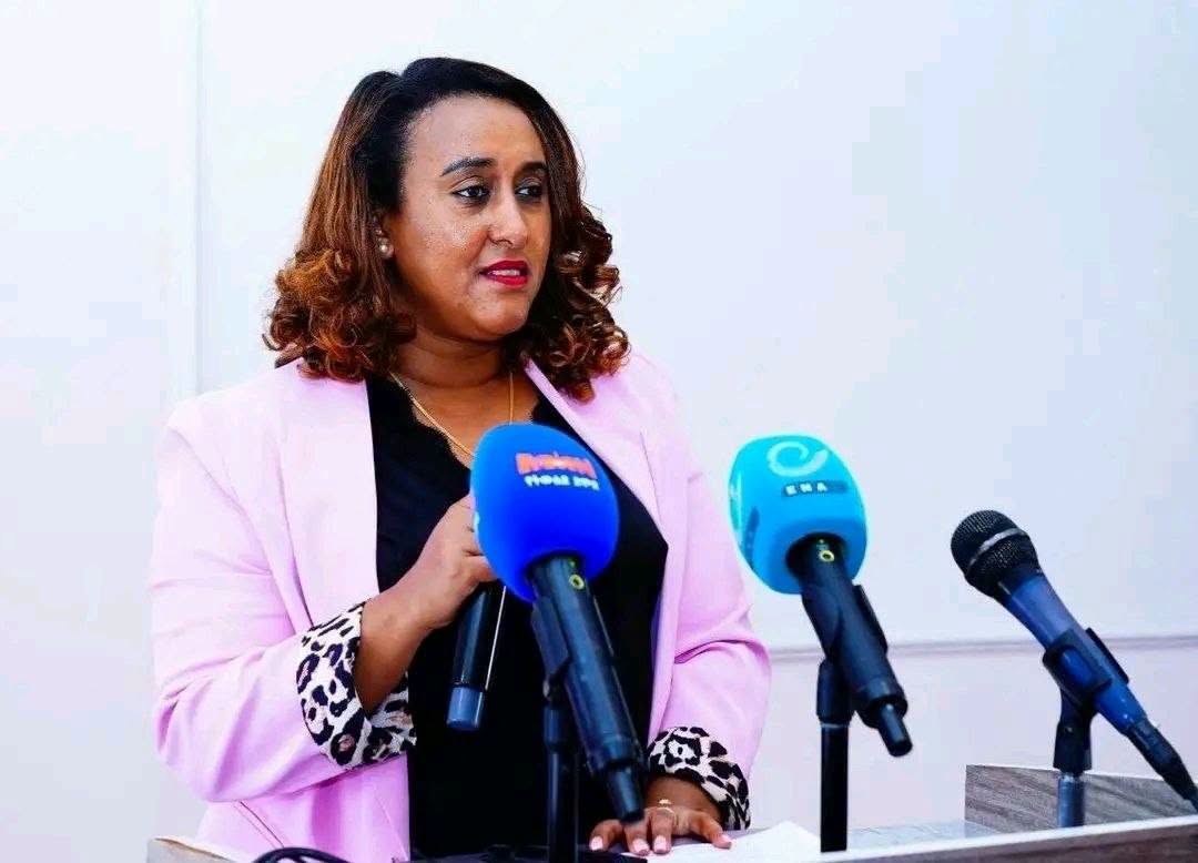 You are currently viewing የአዲስ አበባና የሸገር ከተማ አስተዳደሮች በጸጥታና በሕግ የበላይነት ዙሪያ በቅንጅት ባከናወኗቸው ተግባራት አመርቂ ውጤት ተገኝቷል
