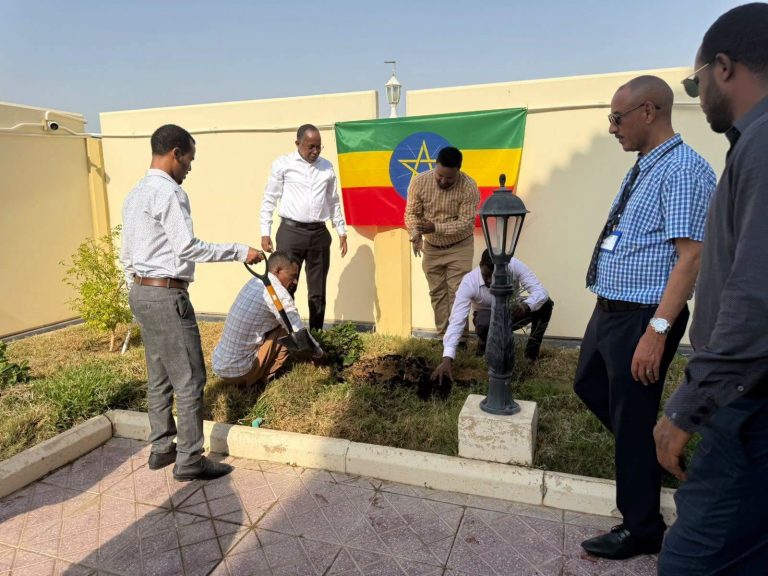 በዶሃ የኢ.ፌ.ዲ.ሪ. ኤምባሲ ዲፕሎማቶች፣ ሠራተኞችና በቀጠር የሚኖሩ ኢትዮጵያውያን አረንጓዴ አሻራቸዉን አኖሩ
