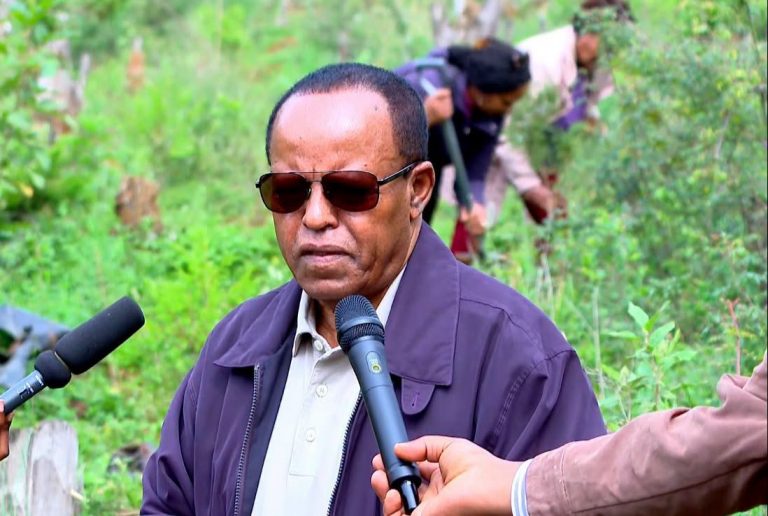 ከቅርብ ዓመታት ወዲህ የምናልመው ሁሉ እውን የሚሆንበት አዲስ የታሪክ ምዕራፍ ውስጥ እንገኛለን- ፕሬዚዳንት ታዬ አጽቀ ሥላሴ