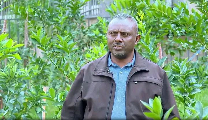 በአዲስ አበባ በአንድ ጀምበር ከ1 ሚሊየን በላይ ችግኞችን ለመትከል የቅድመ ዝግጅት ሥራ ተጠናቋል