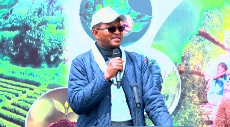 በአረንጓዴ ዐሻራ መርሐ ግብር የምንተክለው ችግኝ ለሀገር ዕድገት መሰረትና ለትውልድ የሚሻገር ተስፋ ነው - አፈ-ጉባዔ ታገሰ ጫፎ