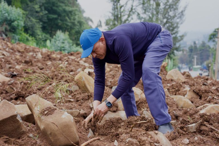 አረንጓዴ ዐሻራችን እንደ ትውልድ ያሳካነው እና የመተባበርን ውጤት አድምቀን የጻፍንበት ብሔራዊ ድላችን ነው - ምክትል ጠቅላይ ሚኒስትር ተመስገን ጥሩነህ