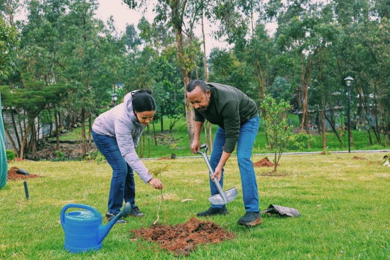 ከተማችንን በአብሮነት እናልብስ - ከንቲባ አዳነች አቤቤ