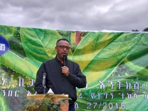 Read more about the article በአረንጓዴ አሻራ መርሐ ግብር አዲስ አበባ ከተከላ ወደ እንክብካቤ ፊቷን አዙራለች- ምክትል ከንቲባ አቶ ጃንጥራር አባይ