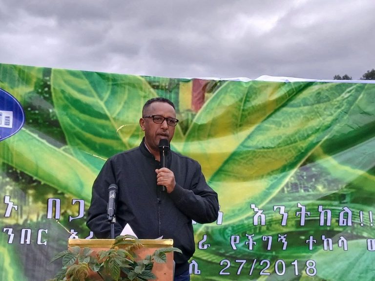 በአረንጓዴ አሻራ መርሐ ግብር አዲስ አበባ ከተከላ ወደ እንክብካቤ ፊቷን አዙራለች- ምክትል ከንቲባ አቶ ጃንጥራር አባይ