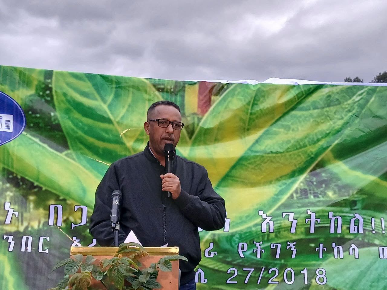 You are currently viewing በአረንጓዴ አሻራ መርሐ ግብር አዲስ አበባ ከተከላ ወደ እንክብካቤ ፊቷን አዙራለች- ምክትል ከንቲባ አቶ ጃንጥራር አባይ