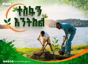 Read more about the article አዳዲስ ክብረ ወሰኖችን እያስመዘገበ የቀጠለው የኢትዮጵያ አረንጓዴ አብዮት