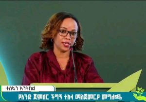 Read more about the article የአንድ ጀምበር አረንጓዴ አሻራ መርሐ ግብር በይፋ ተጀመረ