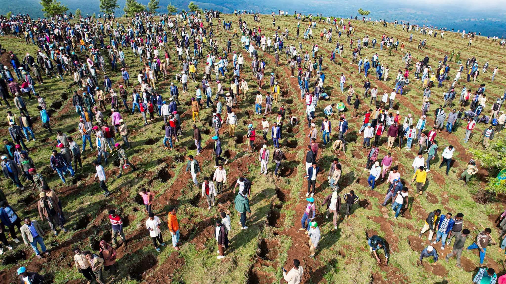 You are currently viewing የአንድ ጀምበር አረንጓዴ ዐሻራ ህዝብን ተጠቃሚ የሚያደርግ በመሆኑ ሁሉም ዜጋ ችግኞችን በመትከል የተያዘውን እቅድ ለማሳካት የድርሻውን ሊወጣ ይገባል