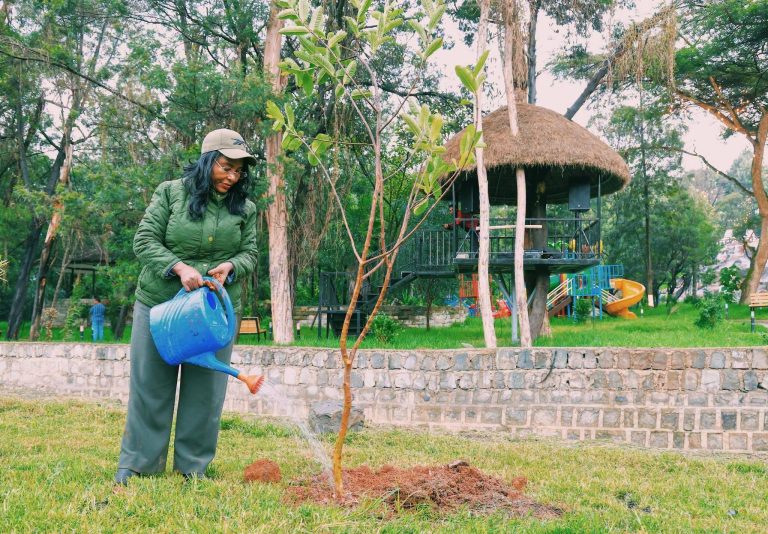 ተፈጥሯዊ ተጽዕኖን ለመከላከልና የአካባቢን ደህንነት ለመጠበቅ የአረንጓዴ አሻራ ከፍተኛ አስተዋጽኦ አበርክቷል - ከንቲባ አዳነች አቤቤ