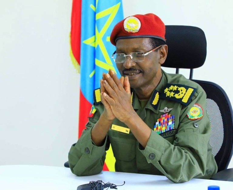 የምርምርና የቴክኖሎጂ ልማትን በማስፋፋት የግብዓት አቅርቦትን በራስ አቅም ማሳደግ ይገባል- ፊልድ ማርሻል ብርሃኑ ጁላ