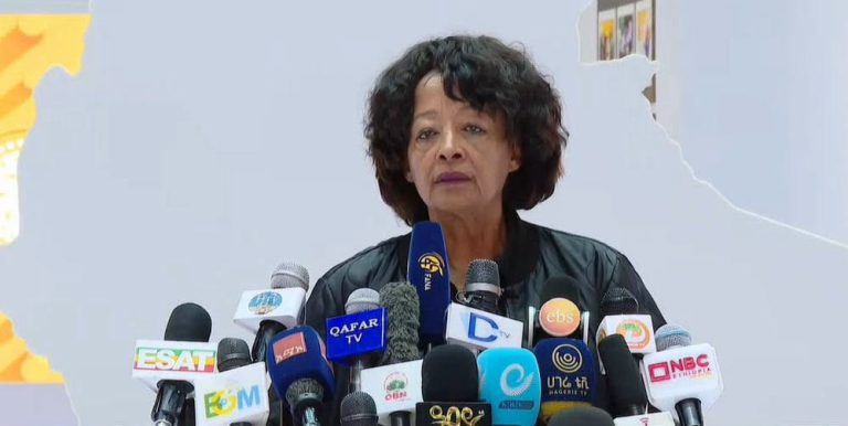ሦስት አራተኛው ስራችን እየተጠናቀቀ ነው - ም/ዋና ኮሚሽነር ሂሩት ገ/ሥላሴ