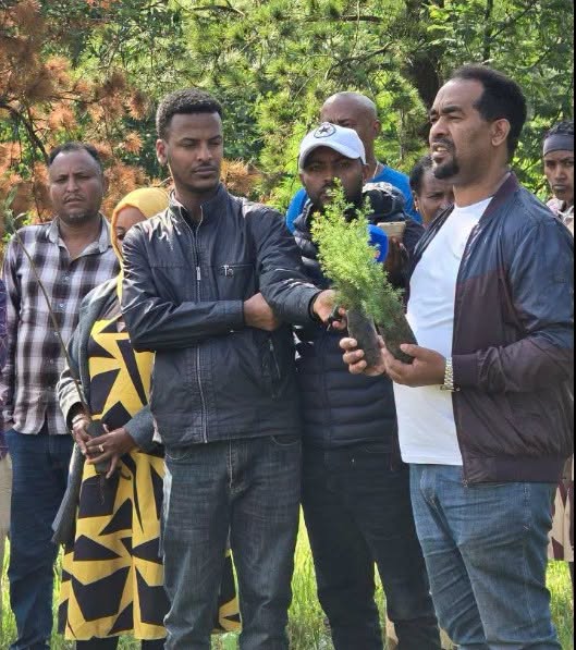 አዲስ ሚዲያ ኔትወርክ በሀገራዊ ጉዳዮች እና በአረንጓዴ አሻራ ንቅናቄ ላይ ግንባር ቀደም ተሳትፎ እያደረገ ነው- አቶ ጥላሁን ካሳ