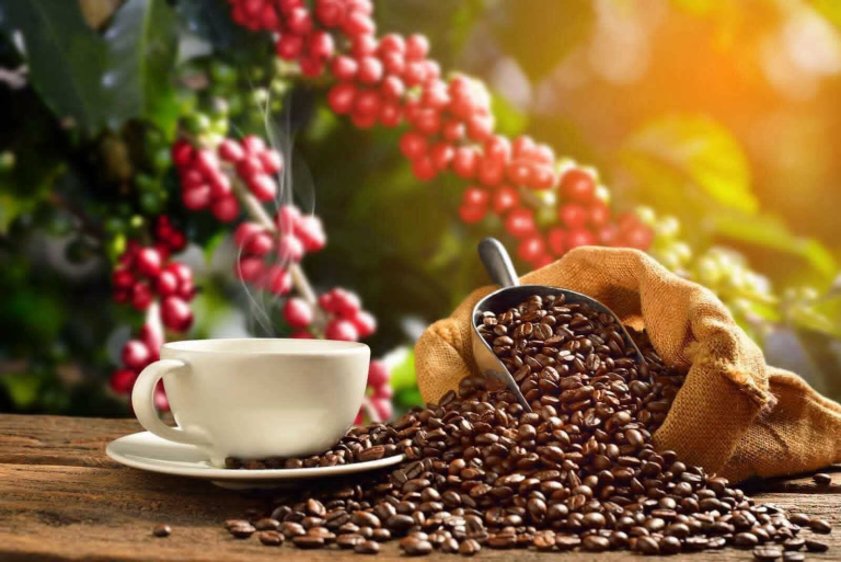 ቡና፡ ከኢትዮጵያ ደን እስከ ዓለም አቀፍ መድረክ