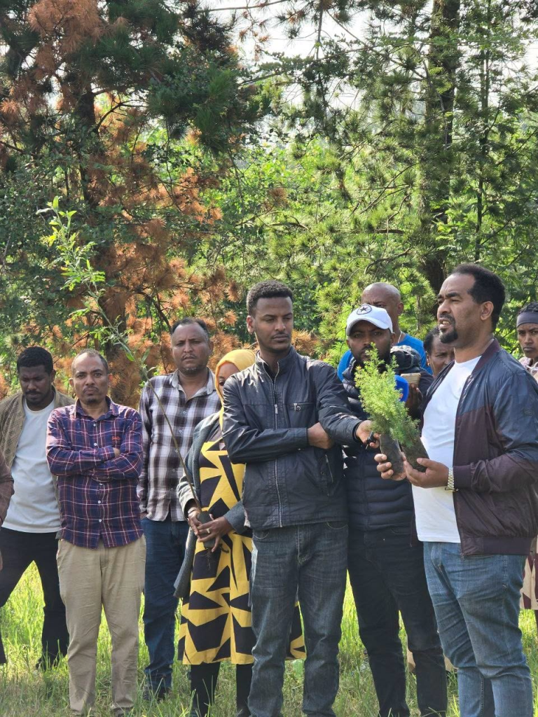 የአዲስ ሚዲያ ኔትወርክ አመራሮች እና ሠራተኞች የችግኝ ተከላ አካሄዱ