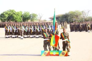 Read more about the article በሃገራቸዉ ሉዓላዊነትና ህልዉና ከማንም ጋር የማይደራደሩት የጽናት ተምሳሌቶች