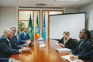 Read more about the article የጠቅላይ ሚኒስትሩ የምስራቅ አፍሪካ ጉዳዮች አማካሪ ሚኒስትር ጌታቸው ረዳ ከኢንተርናሽናል ክራይስስ ግሩፕ ፕሬዝዳንት ጋር ተወያዩ