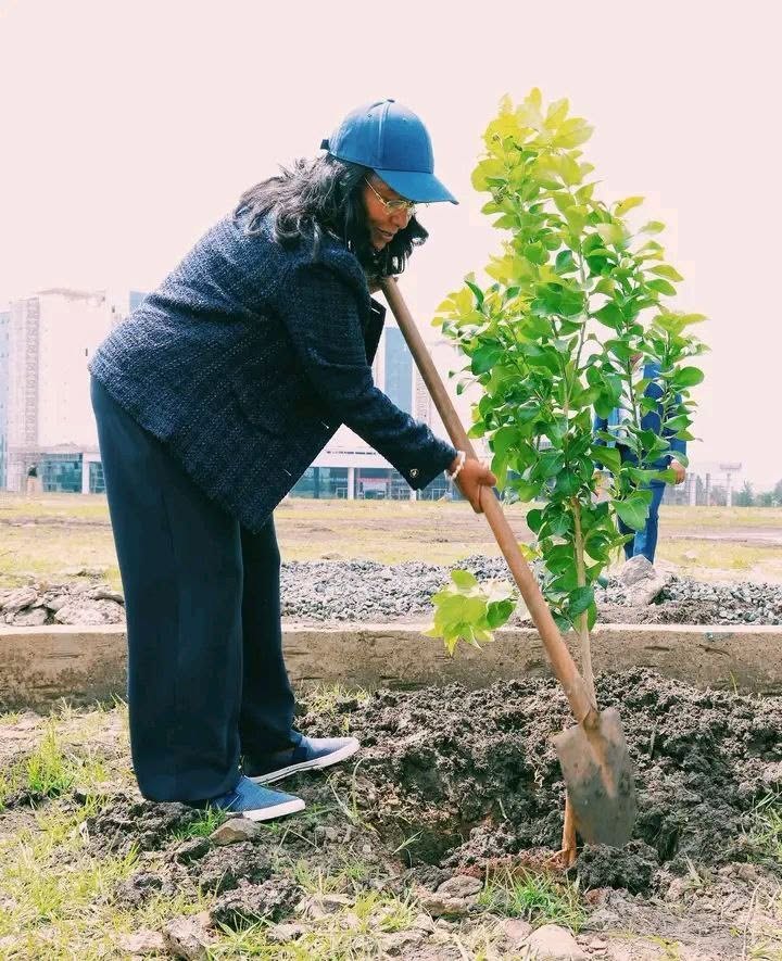 አዲስ አበባ የአየር ንብረት ለውጥ ተጽዕኖን በመቋቋም ከአሜሪካኗ ቺካጎ ተከትላ በዓለም 2ኛ ሆነች