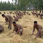 Read more about the article ሉዓላዊነትን ከማስከበር እስከ ማህበራዊ ኃላፊነትን መወጣት የዘለቀው የሠራዊቱ ሕዝባዊ አለኝታነት