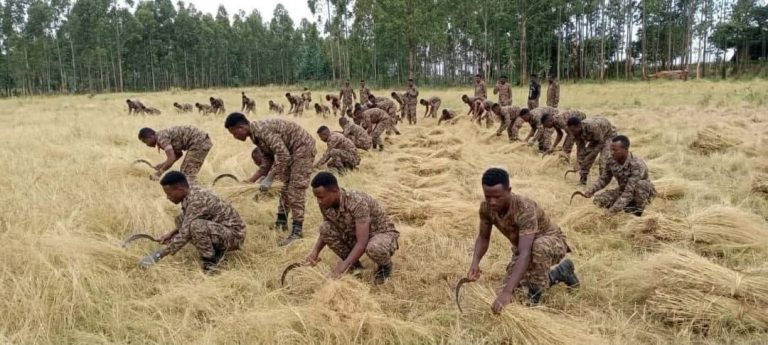 ሉዓላዊነትን ከማስከበር እስከ ማህበራዊ ኃላፊነትን መወጣት የዘለቀው የሠራዊቱ ሕዝባዊ አለኝታነት