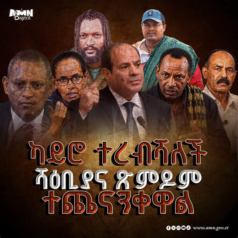 ካይሮ ተረብሻለች፤ ሻዕቢያና ጽምዶም ተጨናንቀዋል